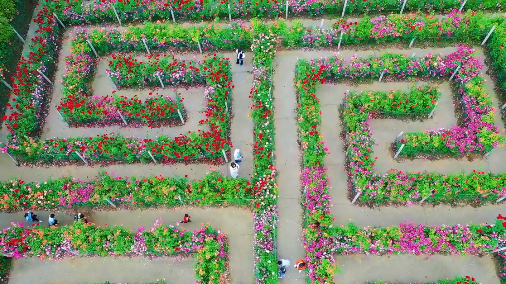 037a5660831d8e2f2a6652de726d27f