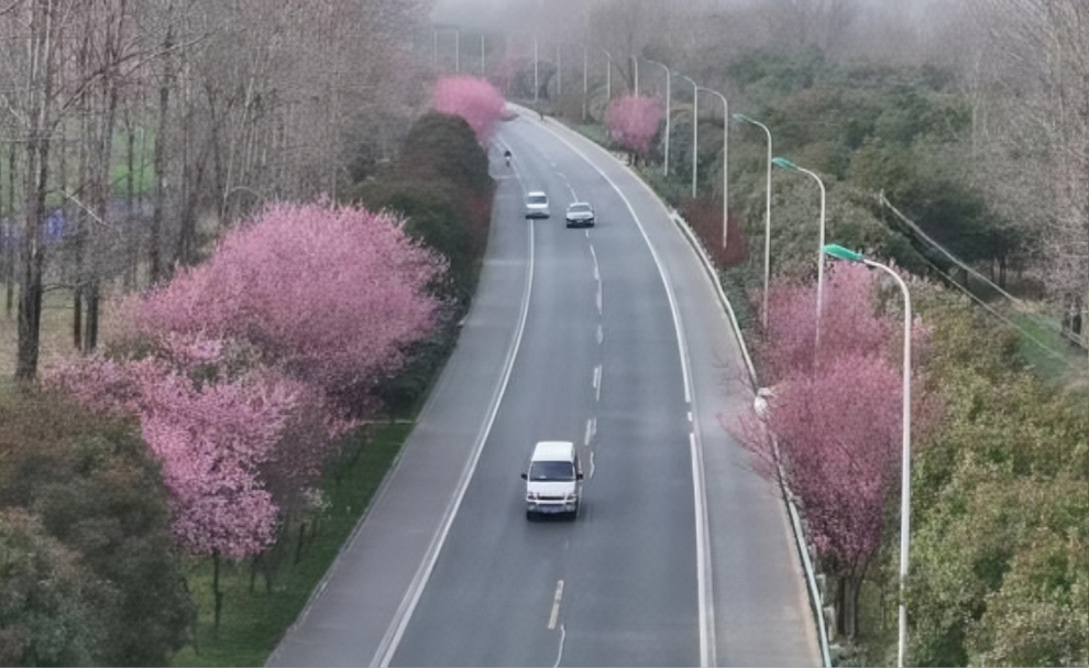 e67e7a44d607ee95a6f72d0bb8294ee